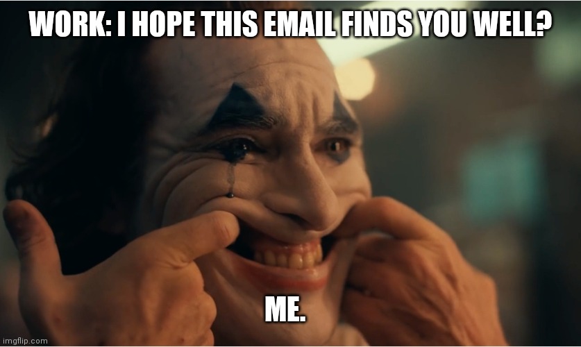 Email finds you well | WORK: I HOPE THIS EMAIL FINDS YOU WELL? ME. | image tagged in email | made w/ Imgflip meme maker
