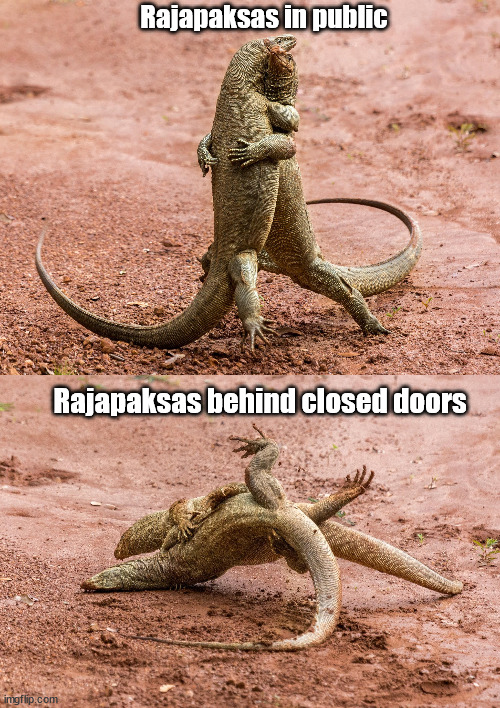  Rajapaksas in public; Rajapaksas behind closed doors | image tagged in politics | made w/ Imgflip meme maker