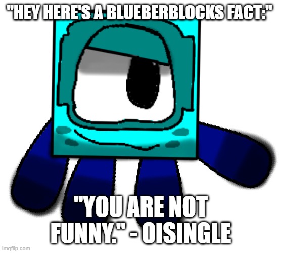 Oisingle be spittin facts tho | "HEY HERE'S A BLUEBERBLOCKS FACT:"; "YOU ARE NOT FUNNY." - OISINGLE | image tagged in fun | made w/ Imgflip meme maker