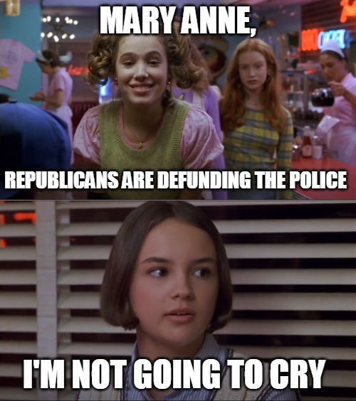 Cokie Talks to Mary Anne | MARY ANNE, REPUBLICANS ARE DEFUNDING THE POLICE; I'M NOT GOING TO CRY | image tagged in cokie talks to mary anne,memes,republicans,defund the police | made w/ Imgflip meme maker