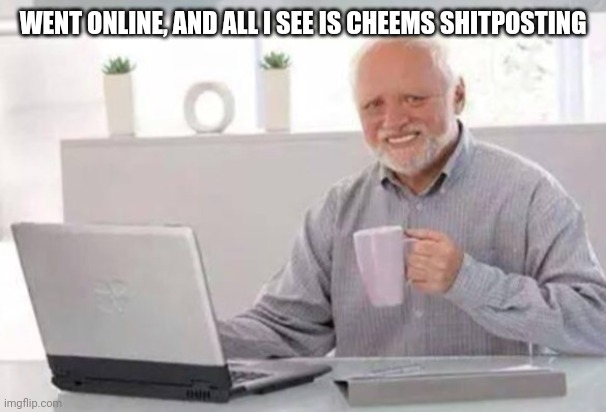 Harold | WENT ONLINE, AND ALL I SEE IS CHEEMS SHITPOSTING | image tagged in harold | made w/ Imgflip meme maker