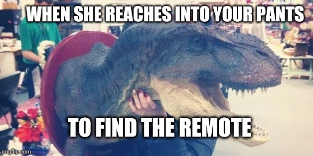 You're on the couch with her |  WHEN SHE REACHES INTO YOUR PANTS; TO FIND THE REMOTE | image tagged in memes,unexpected | made w/ Imgflip meme maker
