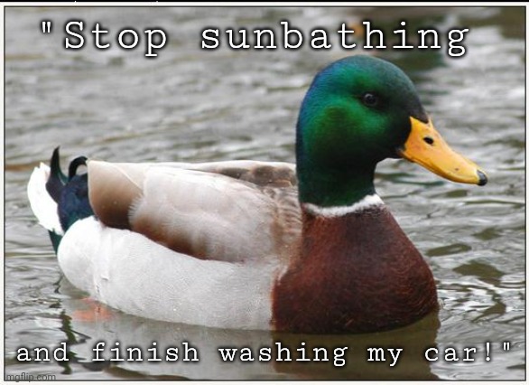 Actual Advice Mallard Meme | "Stop sunbathing and finish washing my car!" | image tagged in memes,actual advice mallard | made w/ Imgflip meme maker