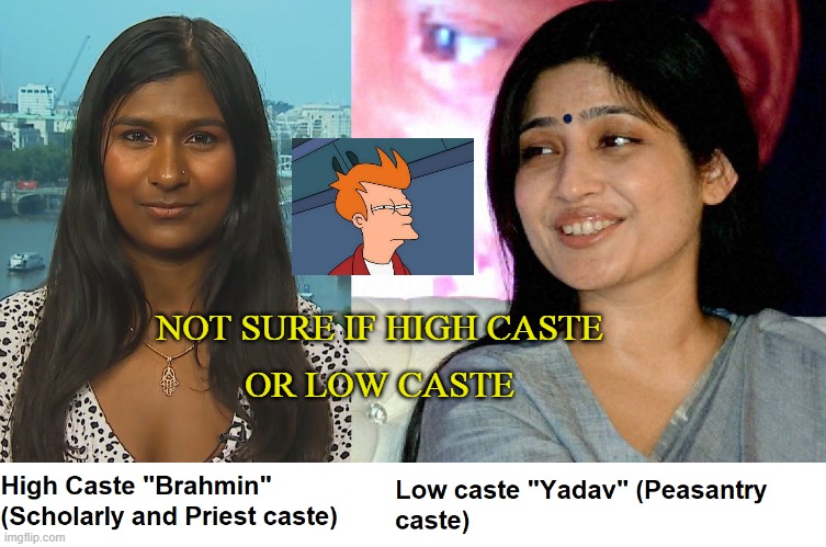 Not sure if high caste or low caste | NOT SURE IF HIGH CASTE
OR LOW CASTE | image tagged in caste system | made w/ Imgflip meme maker