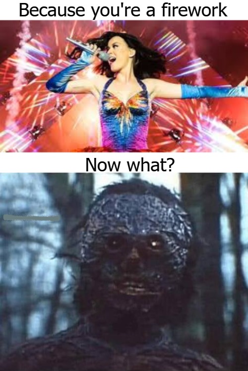 Because you're a firework; Now what? | image tagged in kitty | made w/ Imgflip meme maker