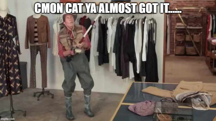 Almost got it  | CMON CAT YA ALMOST GOT IT...... | image tagged in almost got it | made w/ Imgflip meme maker