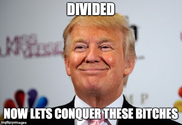 Donald trump approves | DIVIDED; NOW LETS CONQUER THESE BITCHES | image tagged in donald trump approves | made w/ Imgflip meme maker