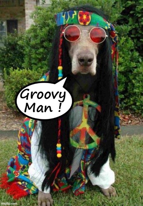 Groovy ! | Groovy
Man ! | image tagged in crazy hippy | made w/ Imgflip meme maker