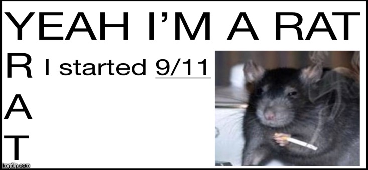 Yeah I’m a rat | image tagged in rat,9/11,cigarettes | made w/ Imgflip meme maker