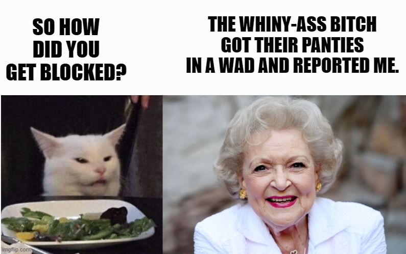 cat and Betty White | THE WHINY-ASS BITCH GOT THEIR PANTIES IN A WAD AND REPORTED ME. SO HOW DID YOU GET BLOCKED? | image tagged in smudge the cat,betty white,blocked,bitch | made w/ Imgflip meme maker