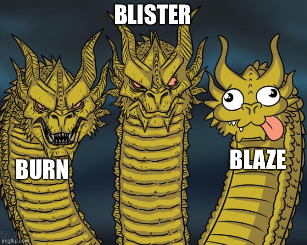 Wings of Fire be like: | BLISTER; BLAZE; BURN | image tagged in three-headed dragon | made w/ Imgflip meme maker