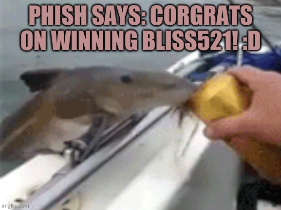 PHISH SAYS: CORGRATS ON WINNING BLISS521! :D | made w/ Imgflip meme maker