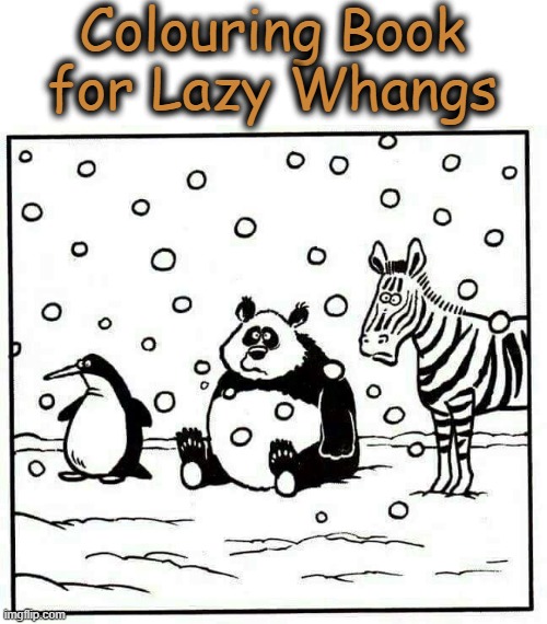 Colouring Book | Colouring Book
for Lazy Whangs | image tagged in what is it | made w/ Imgflip meme maker