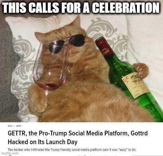 "It was easy to do" | THIS CALLS FOR A CELEBRATION | image tagged in funny cat birthday,memes,donald trump is an idiot,maga,politics,hack | made w/ Imgflip meme maker