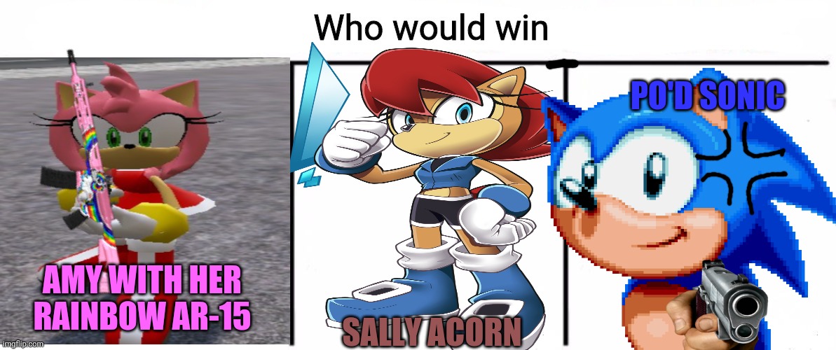 Amy vs Sonic & Sally! |  PO'D SONIC; AMY WITH HER RAINBOW AR-15; SALLY ACORN | image tagged in 3x who would win,sonic the hedgehog,amy rose,sally acorn,who would win | made w/ Imgflip meme maker