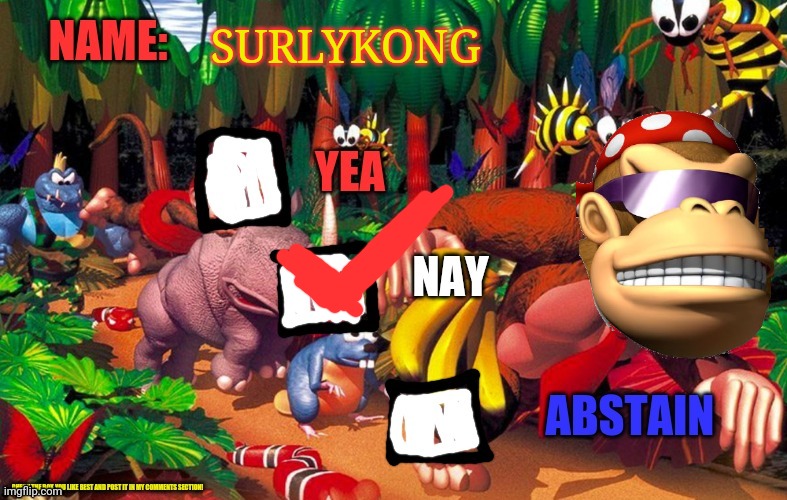SurlyKong loves voting | SURLYKONG | image tagged in surlykong loves voting | made w/ Imgflip meme maker