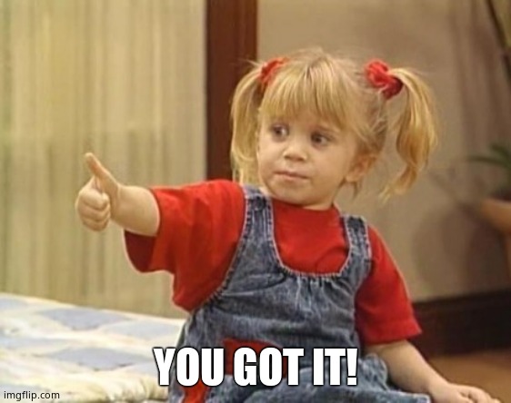 You got it... | YOU GOT IT! | image tagged in you got it | made w/ Imgflip meme maker