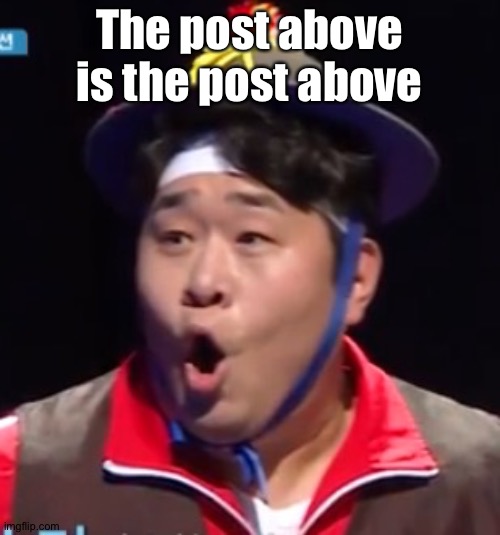 Call me Shiyu now | The post above is the post above | image tagged in pogging seyoon higher quality | made w/ Imgflip meme maker