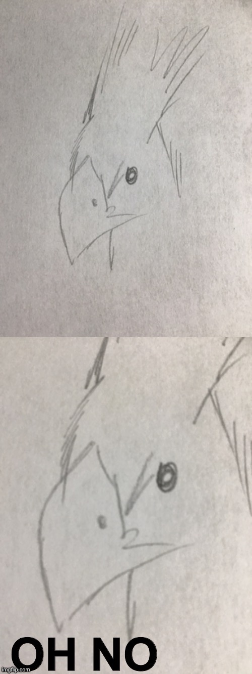 Chocobo OH NO | image tagged in chocobo oh no | made w/ Imgflip meme maker