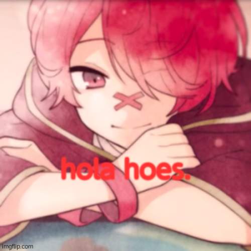 hola hoes. | image tagged in smug boy | made w/ Imgflip meme maker