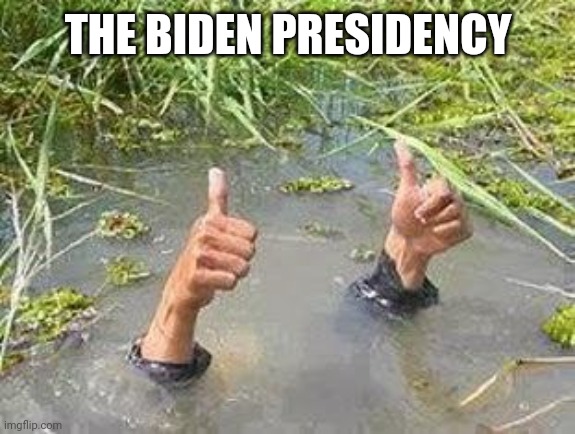 FLOODING THUMBS UP | THE BIDEN PRESIDENCY | image tagged in flooding thumbs up | made w/ Imgflip meme maker