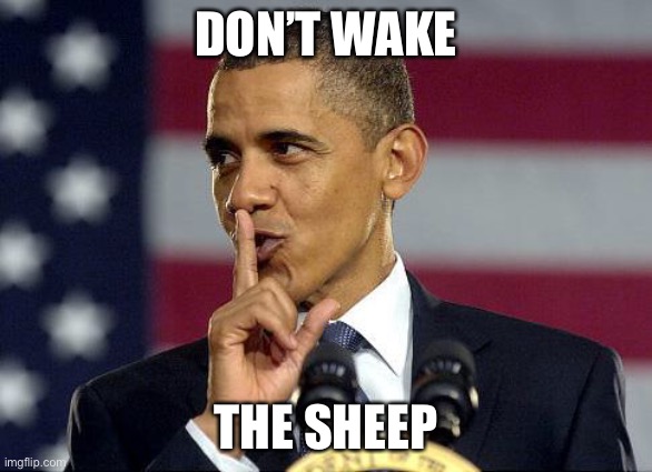 Obama Shhhhh | DON’T WAKE THE SHEEP | image tagged in obama shhhhh | made w/ Imgflip meme maker