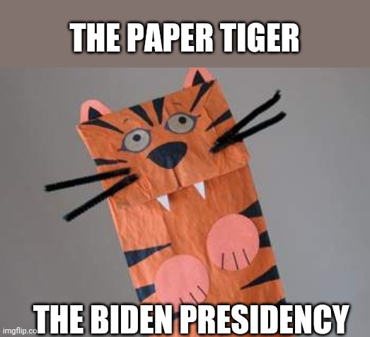 paper tiger | THE PAPER TIGER; THE BIDEN PRESIDENCY | image tagged in paper tiger | made w/ Imgflip meme maker