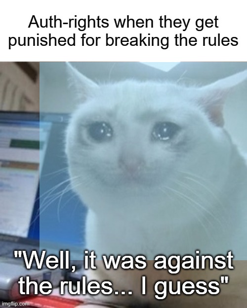 Auth-rights when they get punished for breaking the rules; "Well, it was against the rules... I guess" | image tagged in crying cat,authoritarian | made w/ Imgflip meme maker
