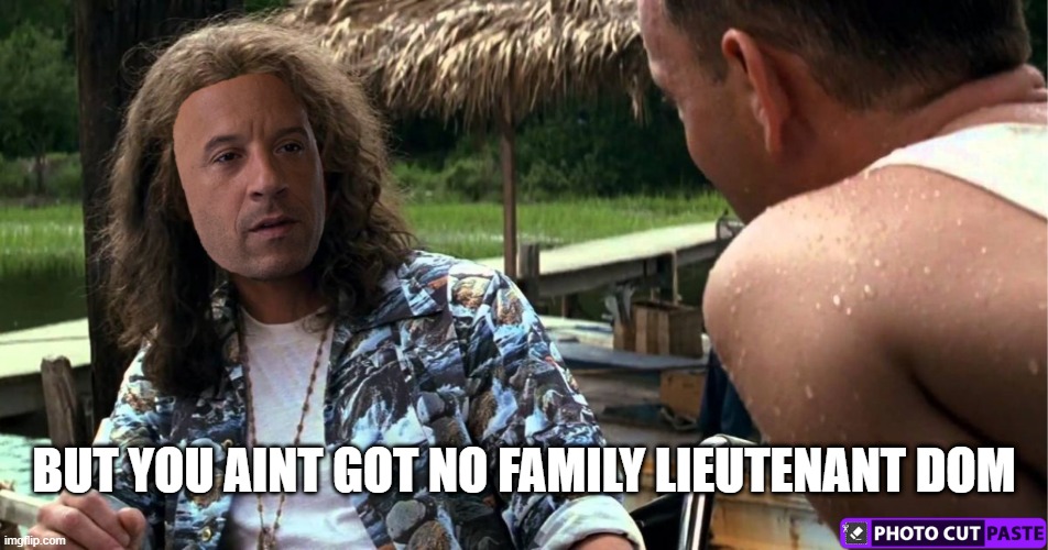 liu | BUT YOU AINT GOT NO FAMILY LIEUTENANT DOM | image tagged in vin diesel,family | made w/ Imgflip meme maker