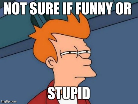 Futurama Fry Meme | NOT SURE IF FUNNY OR  STUPID | image tagged in memes,futurama fry | made w/ Imgflip meme maker