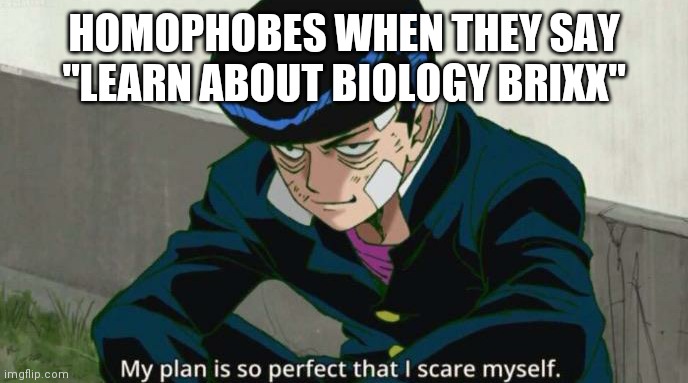 Mob Psycho 100 My plan is so perfect that I scare myself | HOMOPHOBES WHEN THEY SAY "LEARN ABOUT BIOLOGY BRIXX" | image tagged in mob psycho 100 my plan is so perfect that i scare myself,homophobes be like | made w/ Imgflip meme maker