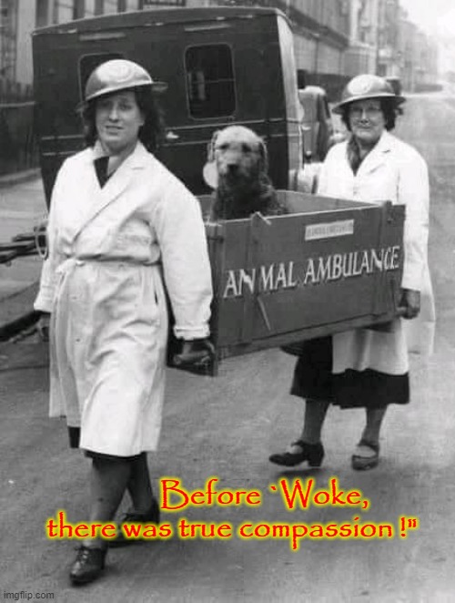 B4 `Woke` | Before `Woke,
there was true compassion !" | image tagged in compassion | made w/ Imgflip meme maker