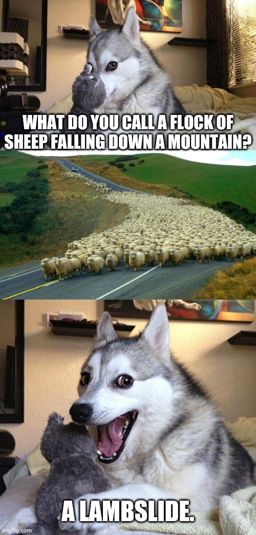 bleat me to it | WHAT DO YOU CALL A FLOCK OF SHEEP FALLING DOWN A MOUNTAIN? A LAMBSLIDE. | image tagged in memes,bad pun dog,sheep | made w/ Imgflip meme maker