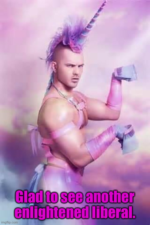 Gay Unicorn | Glad to see another enlightened liberal. | image tagged in gay unicorn | made w/ Imgflip meme maker