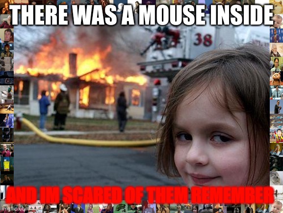Mouses are not scary but this made the most sense | THERE WAS A MOUSE INSIDE; AND IM SCARED OF THEM REMEMBER | image tagged in memes,disaster girl | made w/ Imgflip meme maker