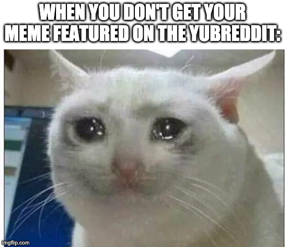 :( | WHEN YOU DON'T GET YOUR MEME FEATURED ON THE YUBREDDIT: | image tagged in crying cat | made w/ Imgflip meme maker