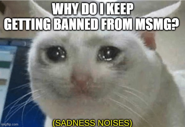 sadness noises | WHY DO I KEEP GETTING BANNED FROM MSMG? | image tagged in sadness noises | made w/ Imgflip meme maker