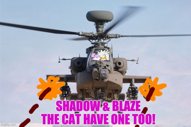 apache helicopter gender | SHADOW & BLAZE THE CAT HAVE ONE TOO! | image tagged in apache helicopter gender | made w/ Imgflip meme maker