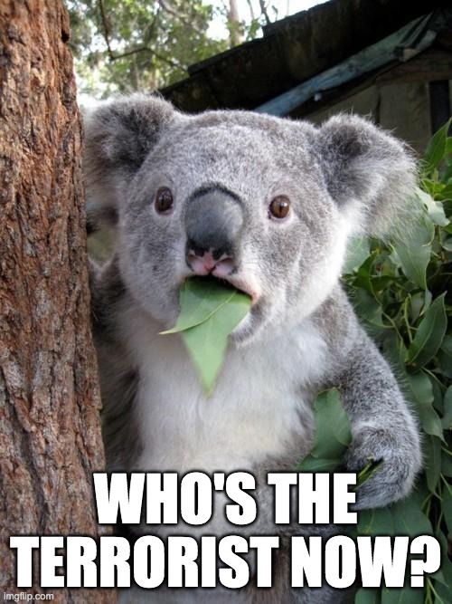 Surprised Koala Meme | WHO'S THE TERRORIST NOW? | image tagged in memes,surprised koala | made w/ Imgflip meme maker