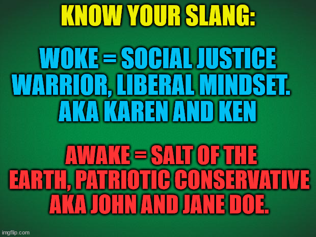 Green background |  KNOW YOUR SLANG:; WOKE = SOCIAL JUSTICE WARRIOR, LIBERAL MINDSET.   
AKA KAREN AND KEN; AWAKE = SALT OF THE EARTH, PATRIOTIC CONSERVATIVE 
AKA JOHN AND JANE DOE. | image tagged in green background | made w/ Imgflip meme maker