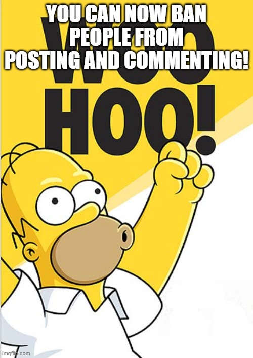 homer woohoo | YOU CAN NOW BAN PEOPLE FROM POSTING AND COMMENTING! | image tagged in homer woohoo | made w/ Imgflip meme maker