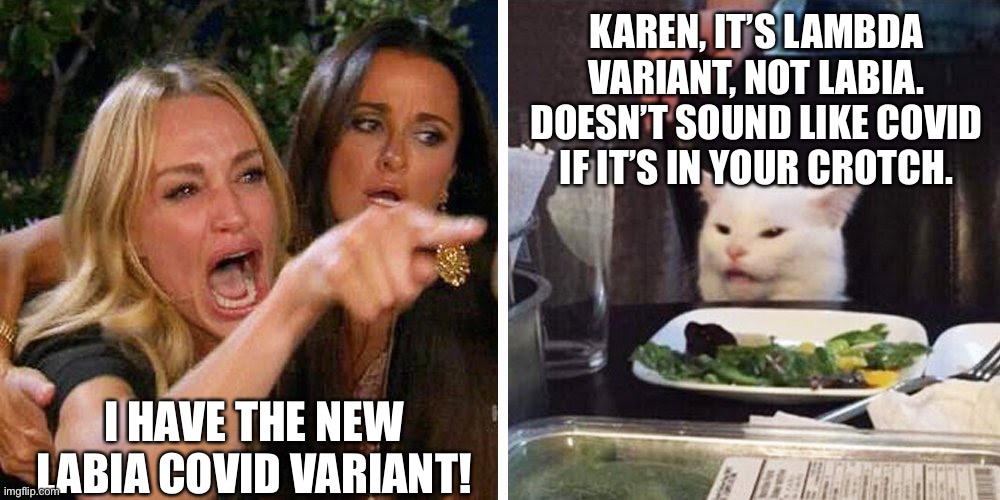 New Covid Variant LAMBDA! NOT LABIA! | KAREN, IT’S LAMBDA VARIANT, NOT LABIA. DOESN’T SOUND LIKE COVID IF IT’S IN YOUR CROTCH. I HAVE THE NEW LABIA COVID VARIANT! | image tagged in smudge the cat,lambda covid variant | made w/ Imgflip meme maker