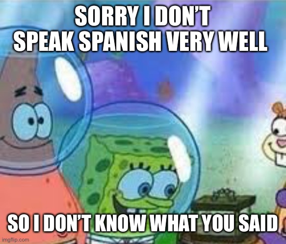 Sorry I don’t speak Italian | SORRY I DON’T SPEAK SPANISH VERY WELL SO I DON’T KNOW WHAT YOU SAID | image tagged in sorry i don t speak italian | made w/ Imgflip meme maker