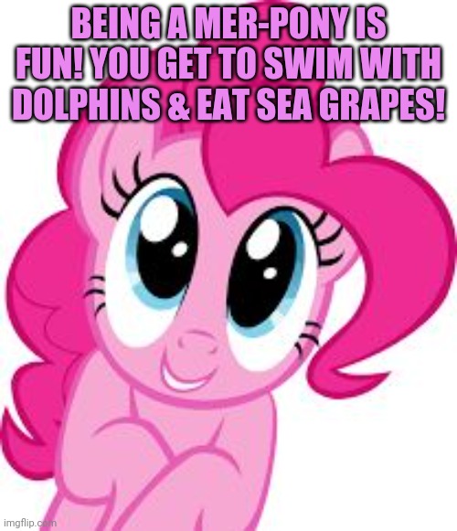 Cute pinkie pie | BEING A MER-PONY IS FUN! YOU GET TO SWIM WITH DOLPHINS & EAT SEA GRAPES! | image tagged in cute pinkie pie | made w/ Imgflip meme maker