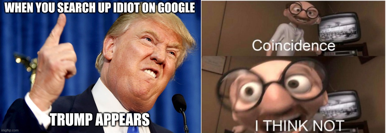 WHEN YOU SEARCH UP IDIOT ON GOOGLE; TRUMP APPEARS | image tagged in donald trump,coincidence i think not,politics,coincidence,trump,idiot | made w/ Imgflip meme maker