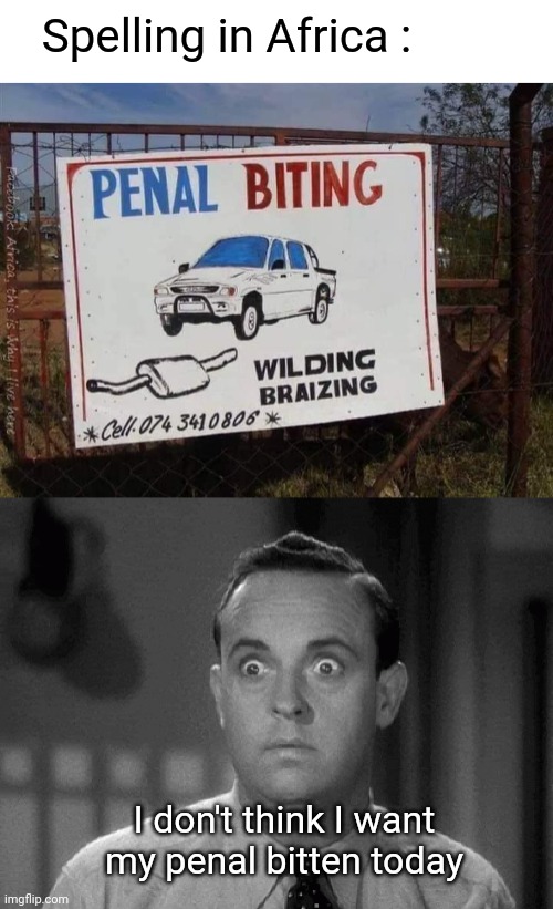 Bitten Penal | Spelling in Africa :; I don't think I want my penal bitten today | image tagged in shocked face,panel beating,bite | made w/ Imgflip meme maker