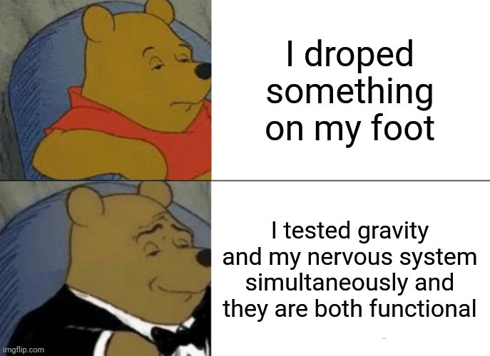 I submited this in all but accedentally marked it nsfw so I submited it in fun now | image tagged in tuxedo winnie the pooh,gravity,science,you know i'm something of a scientist myself,memes,testing | made w/ Imgflip meme maker