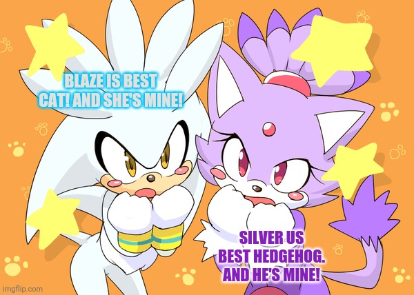 True love |  BLAZE IS BEST CAT! AND SHE'S MINE! SILVER US BEST HEDGEHOG. AND HE'S MINE! | image tagged in silver the hedgehog,blaze the cat,silver x blaze,sonic the hedgehog,shipping | made w/ Imgflip meme maker