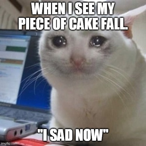 Crying cat | WHEN I SEE MY PIECE OF CAKE FALL. "I SAD NOW" | image tagged in crying cat | made w/ Imgflip meme maker
