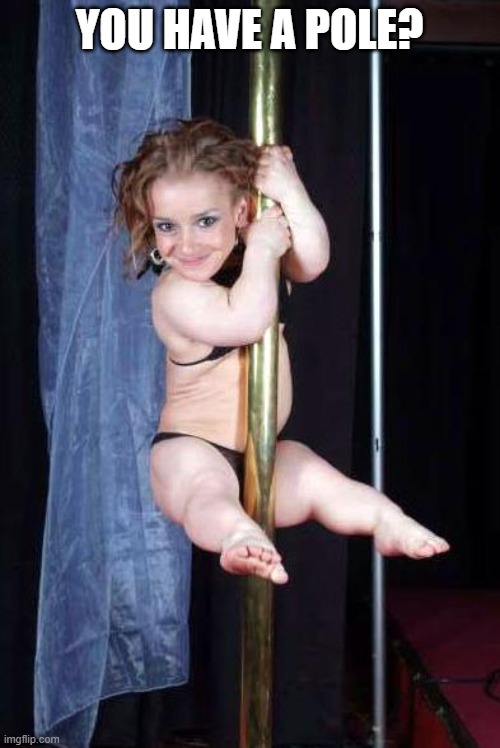 Midget Stripper | YOU HAVE A POLE? | image tagged in midget stripper | made w/ Imgflip meme maker